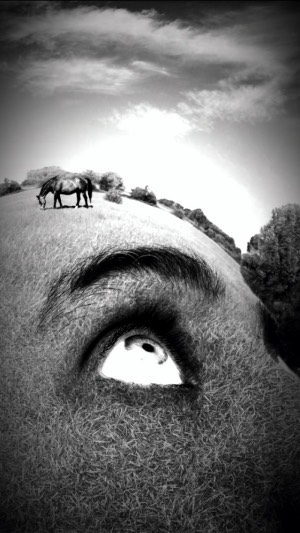 Rüyada duş almak - Hayırlı Rüya